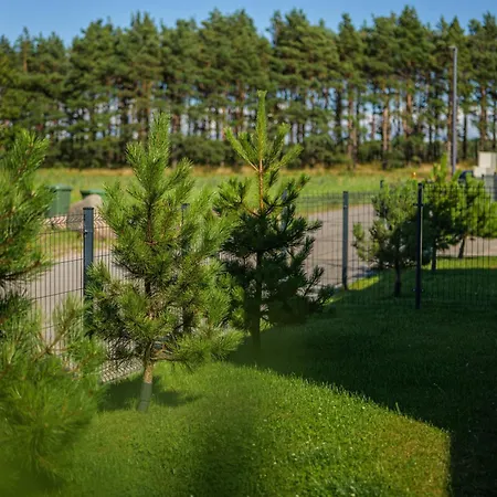 Kunigiskes * Palanga